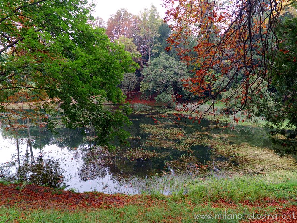 Sirtori (Lecco) - Il laghetto del parco di Villa Besana ad inizio autunno